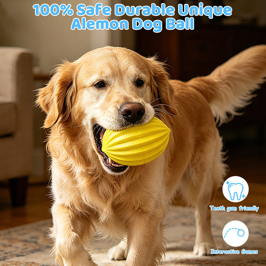 Yipetor Smart Interactive Dog Toy Ball