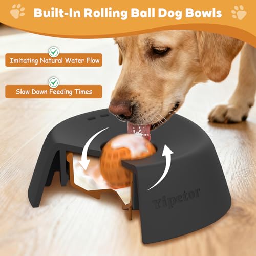 Yipetor Slow Feeder Dog Bowls