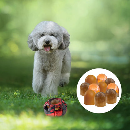 Frozen Treat Dispensing Dog Toy