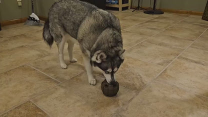 Frozen Treat Dispensing Dog Toy