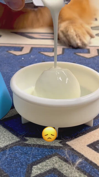 Slow Feeder Dog Bowls