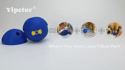 Interactive Treat Dispensing Dog Toy