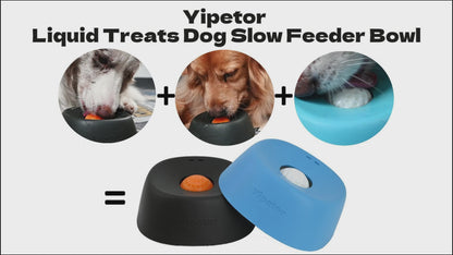 Slow Feeder Dog Bowls