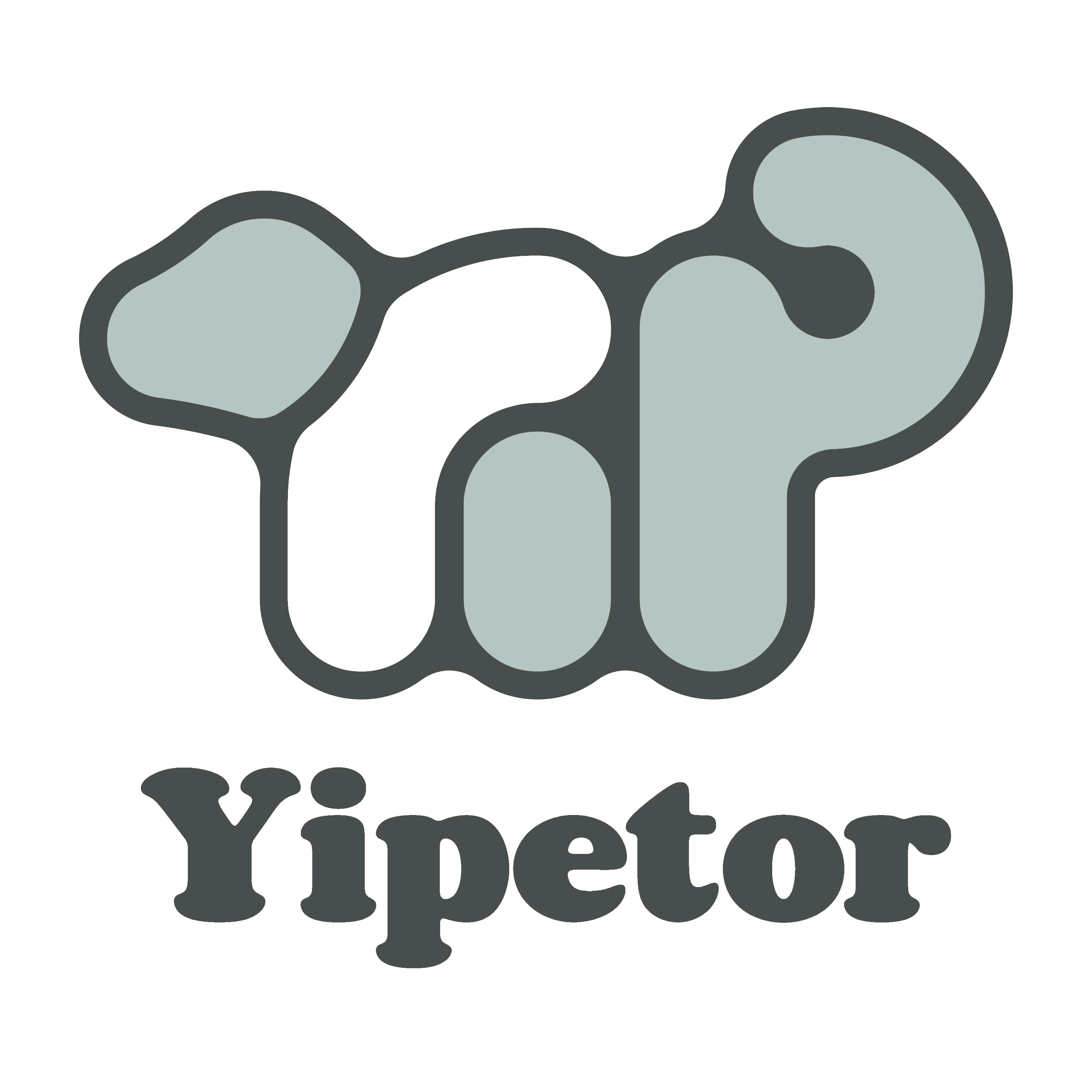 Yipetor Store